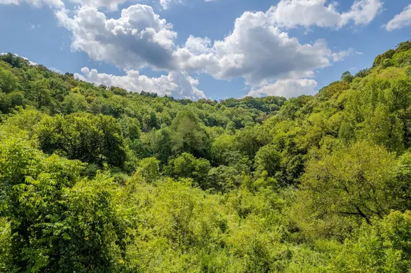 0 Watts Hollow Rd, Buffalo Valley, TN 38548