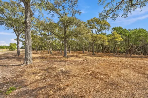 TBD FM 150, Driftwood, TX 78619