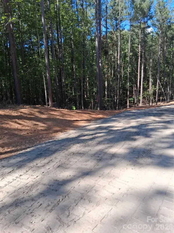 95 Vein Mountain RD #4, Dysartsville, NC 28761