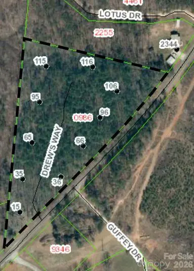 115 Vein Mountain RD #5, Dysartsville, NC 28761