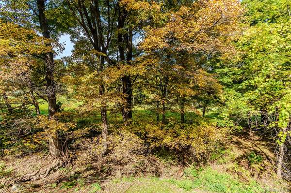 691 Smithfield RD, Millerton, NY 12546