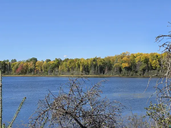 2217 Michael Beach Rd, Zim, MN 55738