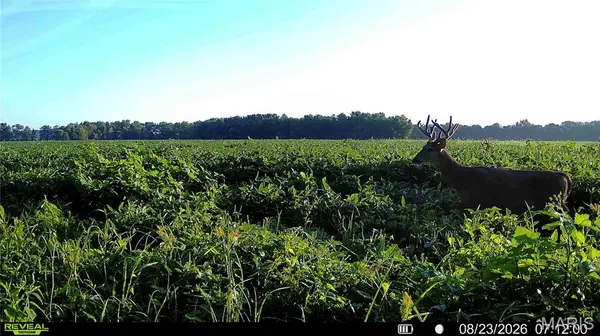 00 100 HWY, Kampsville, IL 62053