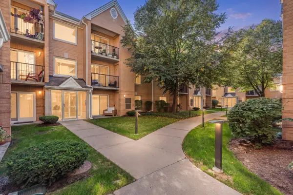 8700 W Evelyn LN #204, Chicago, IL 60656