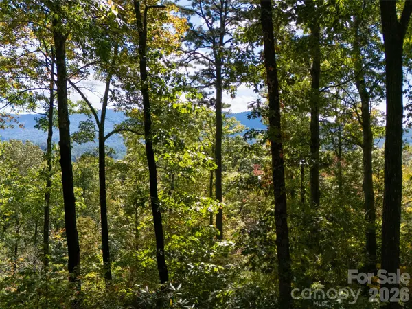 172 Clock Crest DR, Pisgah Forest, NC 28768