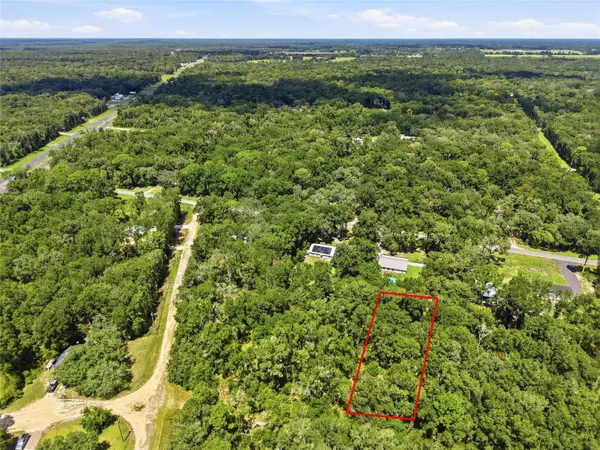 Lot 13 NW 164TH ST, Fanning Springs, FL 32693