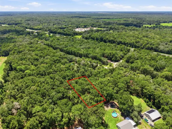 Lot 13 NW 164TH ST, Fanning Springs, FL 32693