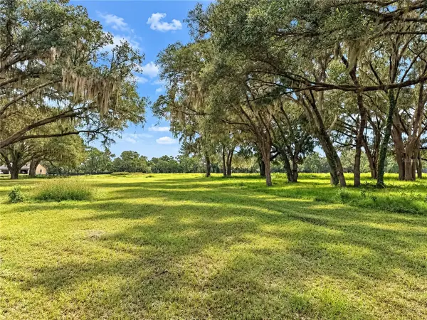 TBD SW 104 STREET ROAD, Ocala, FL 34476