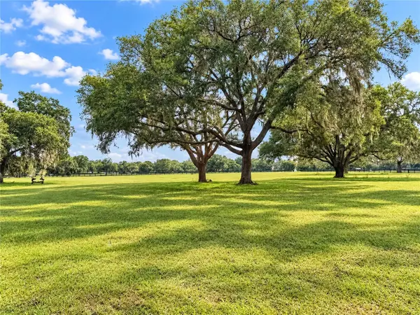 TBD SW 104 STREET ROAD, Ocala, FL 34476