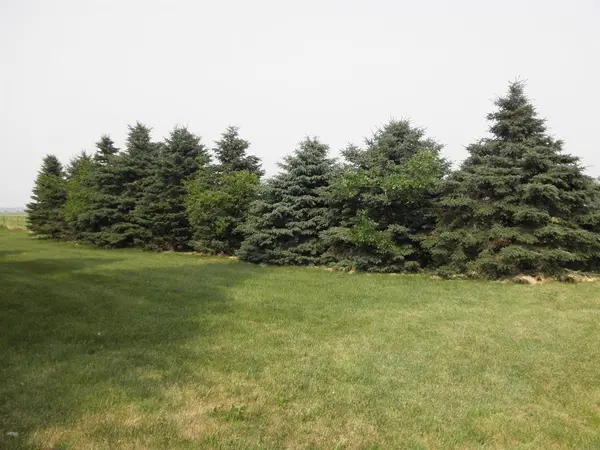 1223 Hwy 9, Osage, IA 50461