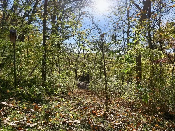29651 County 5, Wykoff, MN 55990