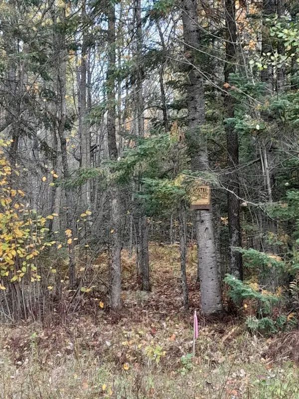 47624 Bowstring C, Deer River, MN 56636