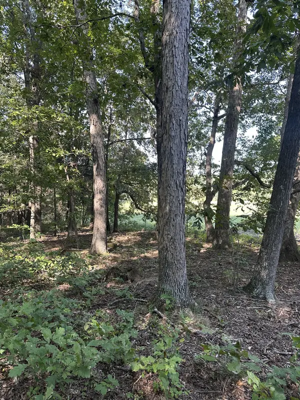 0 Perkins Rd, Puryear, TN 38251