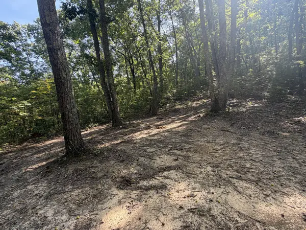 0 Mecca Pike, Tellico Plains, TN 37385