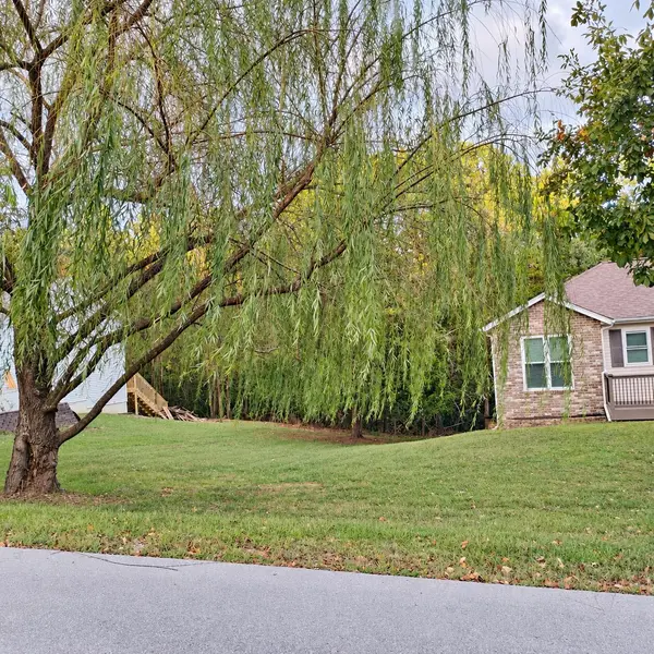 305 Meadow, Branson, MO 65616
