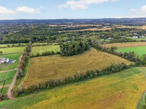 1599 COUNTY ROAD 519, Alexandria Twp., NJ 08825