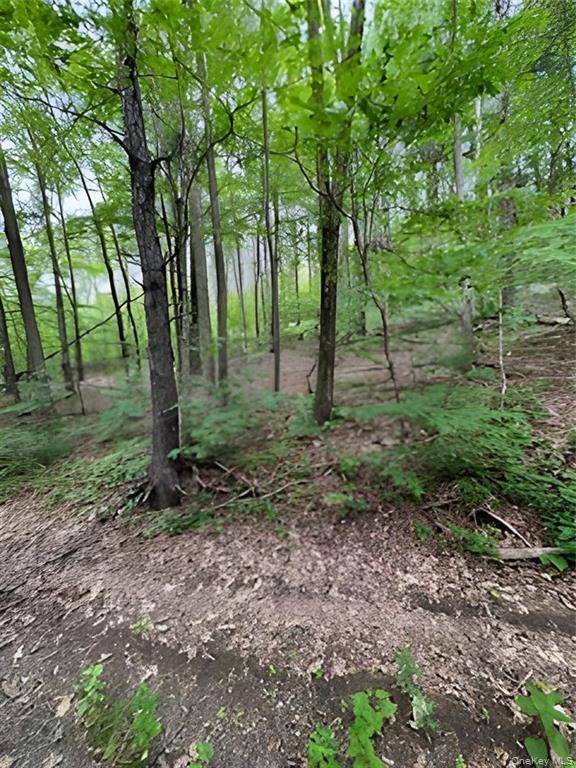 Gardner DR, Port Jervis, NY 12771