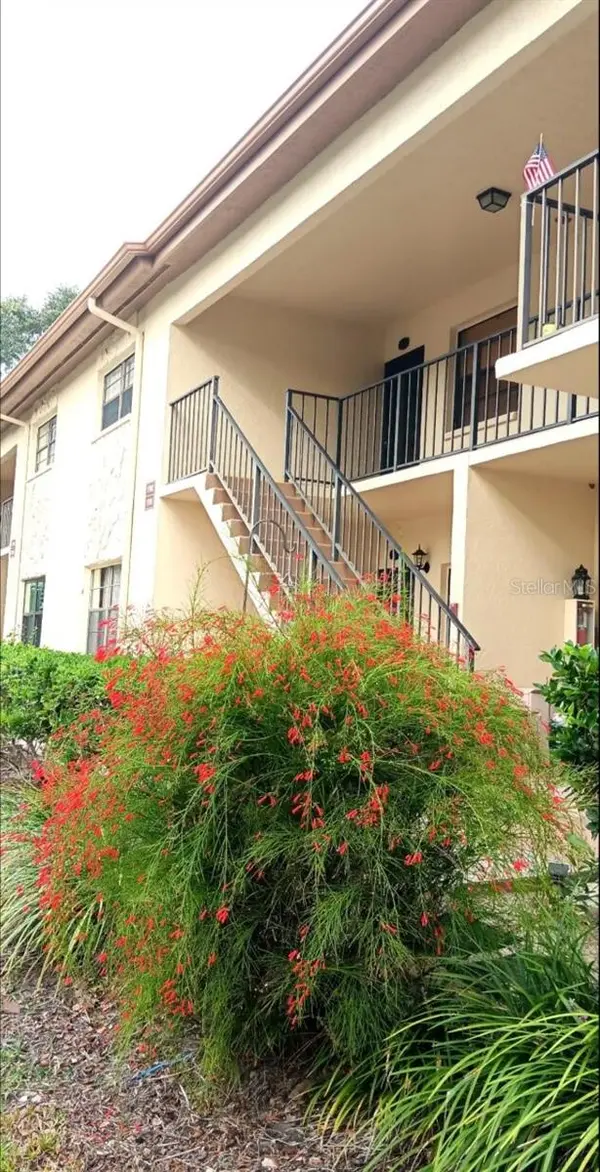 1702 SEASCAPE CIR #203, Tarpon Springs, FL 34689
