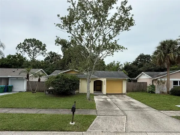 3030 CYPRESS GREEN DR, Palm Harbor, FL 34684