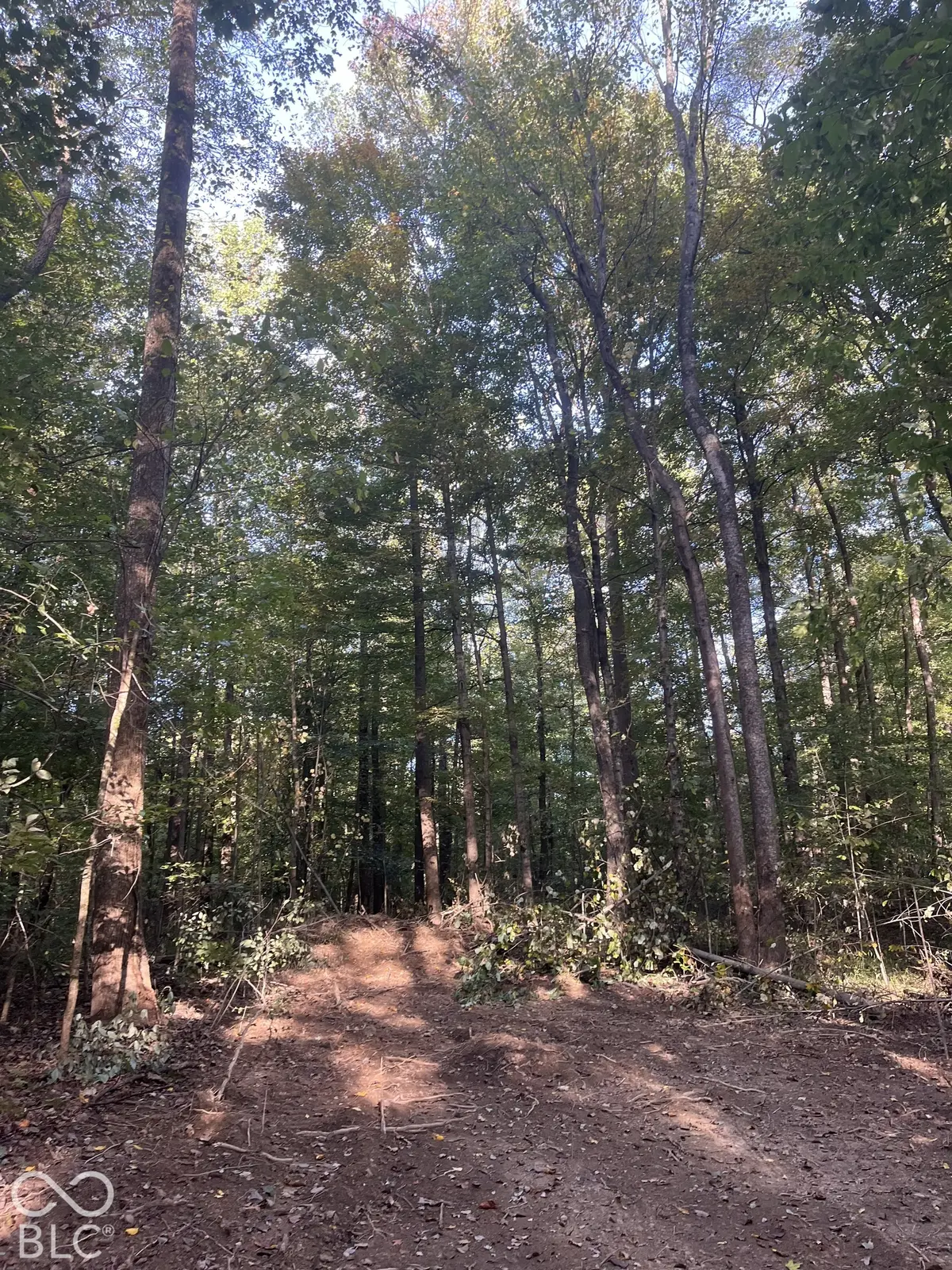 Tract 9 Sunnyside RD, Deputy, IN 47230