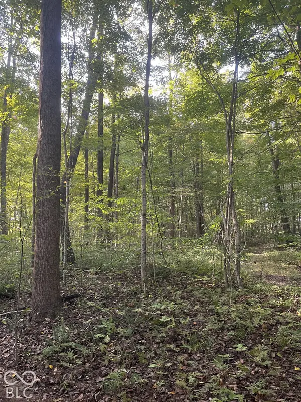 Tract 7 Sunnyside RD, Deputy, IN 47230