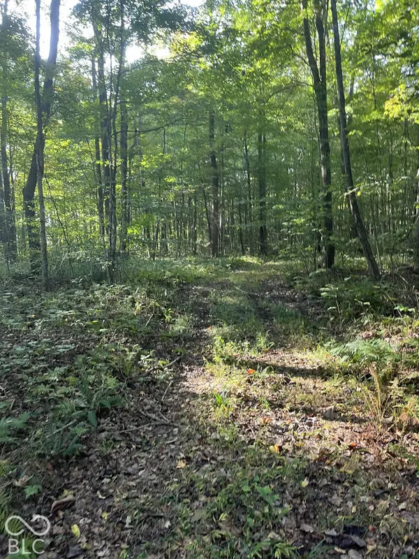 Tract 8 Sunnyside RD, Deputy, IN 47230