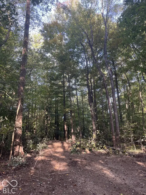 Tract 9 Sunnyside RD, Deputy, IN 47230