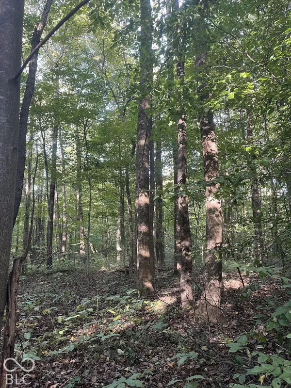Tract 9 Sunnyside RD, Deputy, IN 47230
