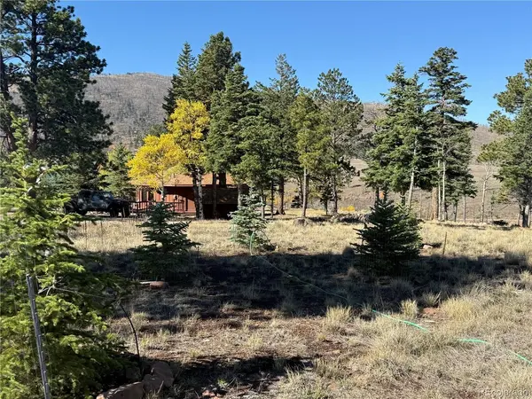 707 Marriott, Fort Garland, CO 81133