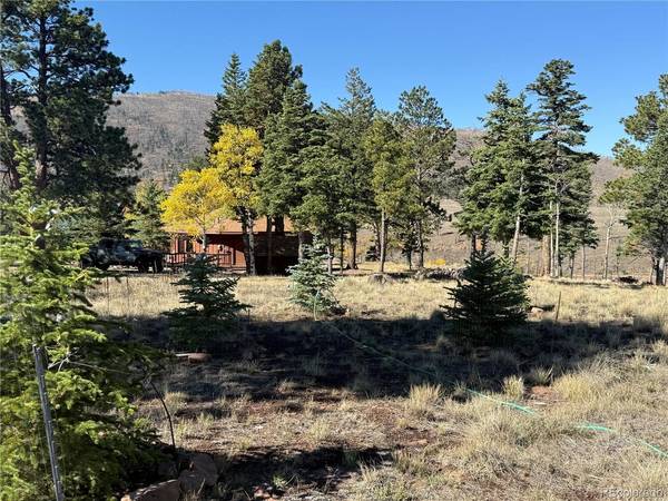 707 Marriott, Fort Garland, CO 81133