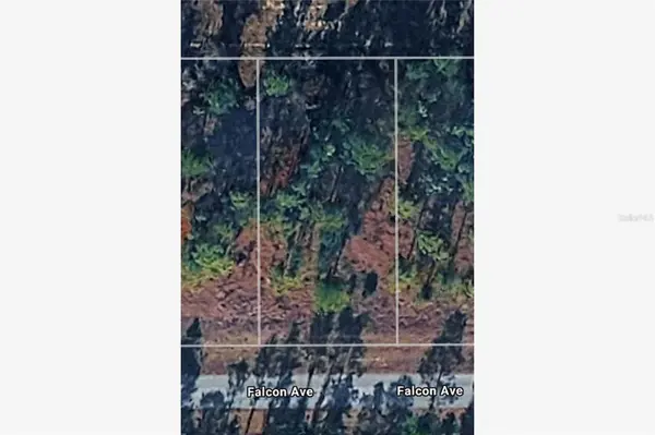 NW FALCON AVENUE, Dunnellon, FL 34431