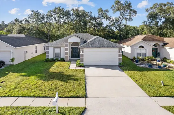 30260 BIRDHOUSE DR, Wesley Chapel, FL 33545