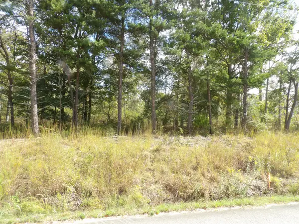 0 Williams Hollow Road, Waverly, TN 37185