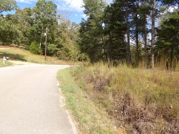 0 Williams Hollow Road, Waverly, TN 37185