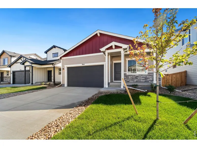 1964 Sorghum, Johnstown, CO 80534