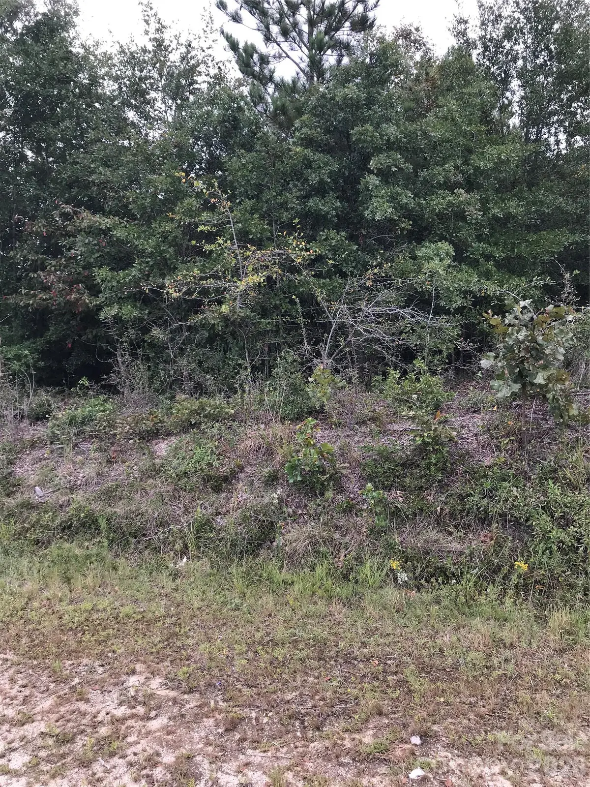 4090 Travellers RD, Kershaw, SC 29067