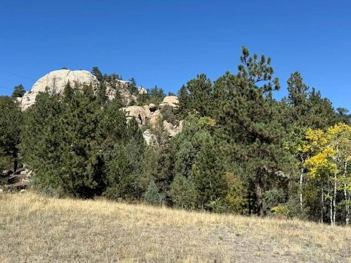 0 TBD Bald Mountain, Livermore, CO 80536