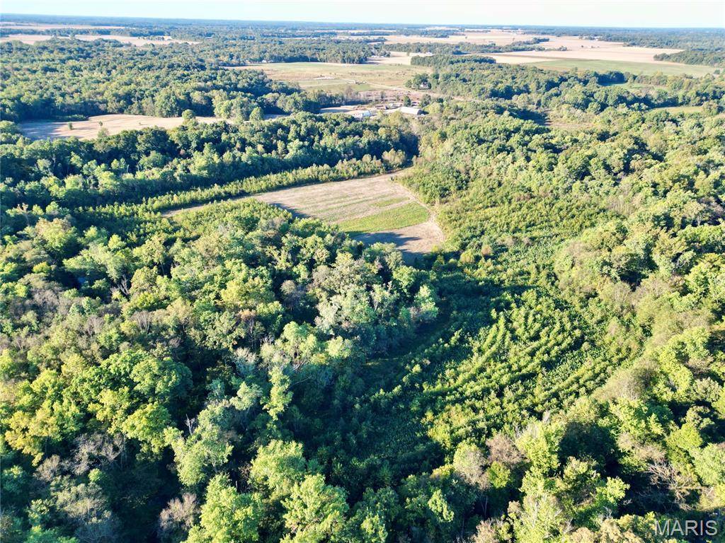 1 Landmark Road, Iuka, IL 62849