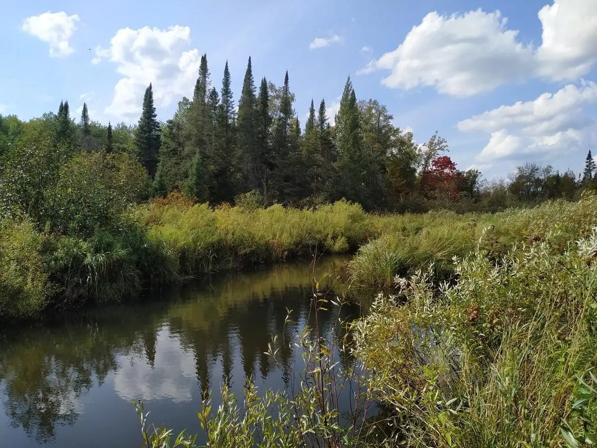 56723 Duncan RD, Sandstone, MN 55072