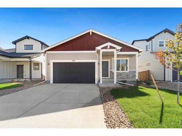 1964 Sorghum, Johnstown, CO 80534