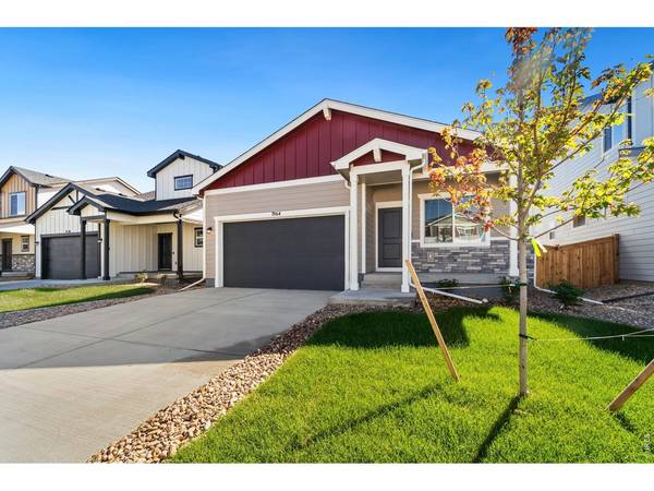 1964 Sorghum, Johnstown, CO 80534