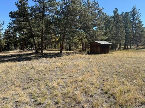 0 TBD Bald Mountain, Livermore, CO 80536