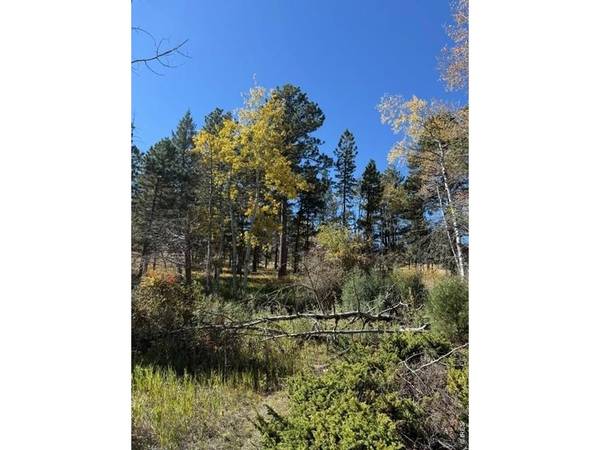 0 TBD Bald Mountain, Livermore, CO 80536