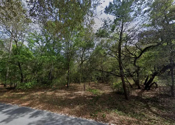 139 SILVER BEACH BLVD, Pomona Park, FL 32181