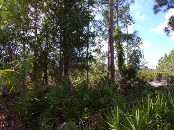12253 GREEN GULF BLVD, Punta Gorda, FL 33955
