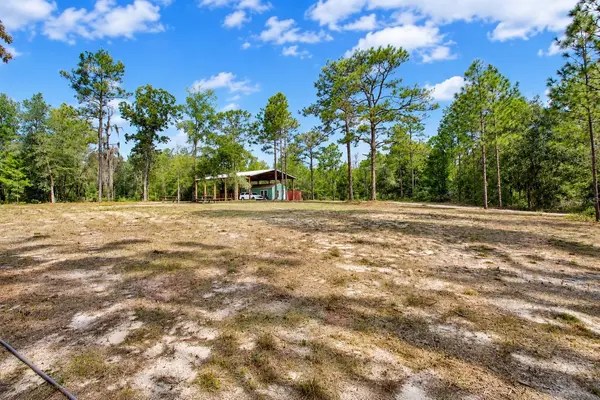 419 LILY TRL, Interlachen, FL 32148