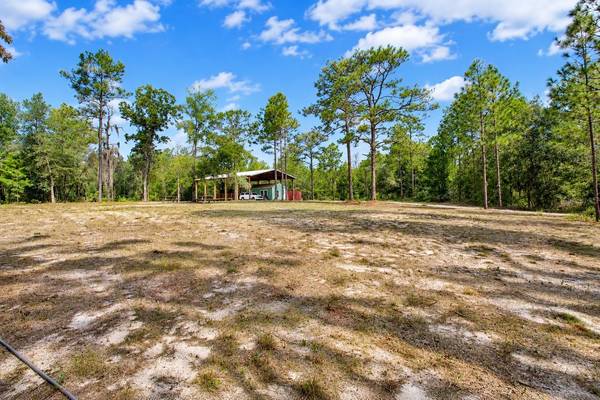 419 LILY TRL, Interlachen, FL 32148