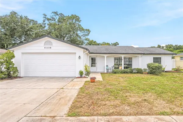 6236 HOPEWELL DR, Holiday, FL 34690