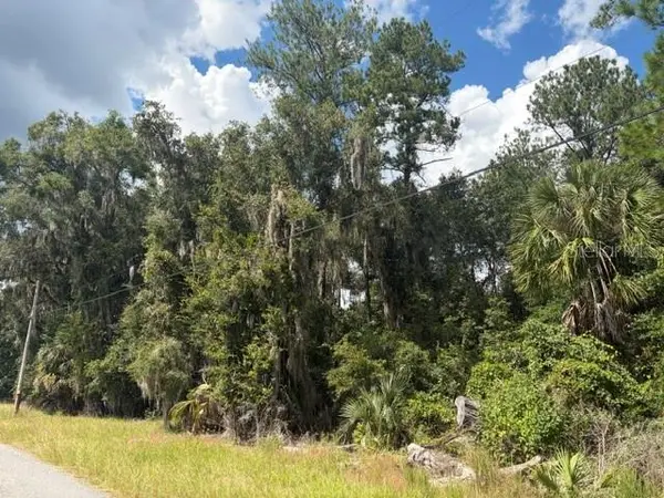 PINE CABIN RD, Brooksville, FL 34601