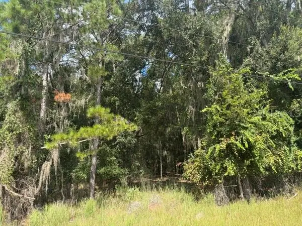 PINE CABIN RD, Brooksville, FL 34601